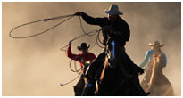 Wild West Evening